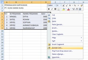 Trik Excel Format Keuangan